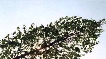 Der letzte schöne Tag Bande-annonce (DE)