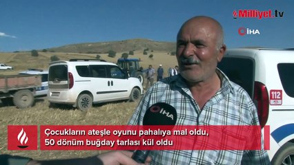 Çocukların oyunu sonrası buğday tarlası bu hale geldi