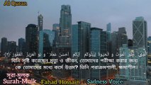 অন্তর জুড়ানো সূরা মূলক তেলাওয়াত❤️surah al mulk _ melody sadness voice recitation