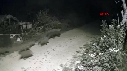 Tunceli'de Pülümür Çayı'nda Boğulan Genç Adamın Cesedi Bulundu