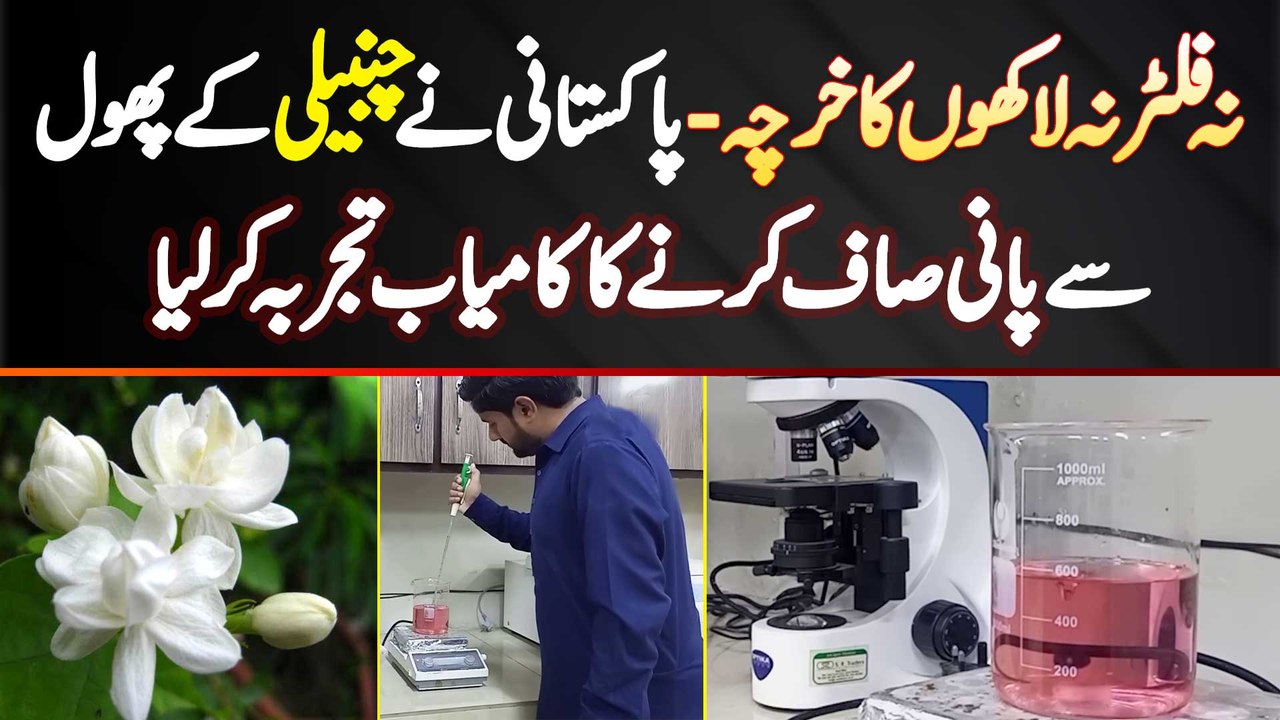 Na Filter Na Lakhon Ka Kharcha, Pakistani Ne Jasmine Ke Flower Se Pani Saaf Karne Ka Tajurba Kar Lia