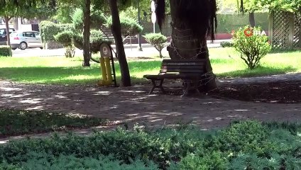 Températures record dans 4 provinces! Le thermomètre a vu 52 degrés