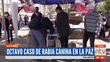 Alerta epidemiológica por rabia canina, se confirmó el octavo caso en La Paz