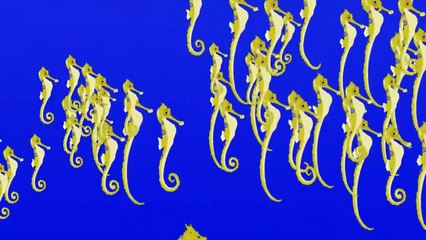 Every Creature Power Transformation Part 11