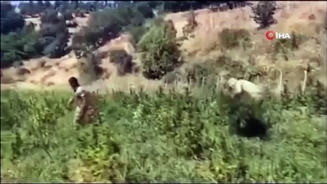 Ministre Yerlikaya： ＂L'organisation séparatiste a été empêchée de générer des revenus illégaux de 36,4 milliards de livres turques＂