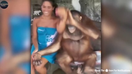 पापा की परी को लगा इंजेक्शन_ FUNNIEST PAPA KI PARI CAUGHT ON CAM 1(720P_60FPS)