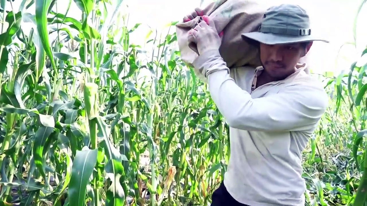 Just looking at it is amazing! A collection of the best Korean street food 보기만 해도 군침도는 한국 길거리음식 모음