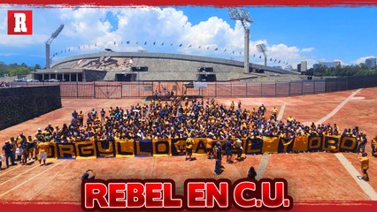 "Yo NO ABANDONO como lo hace la GALLINA"