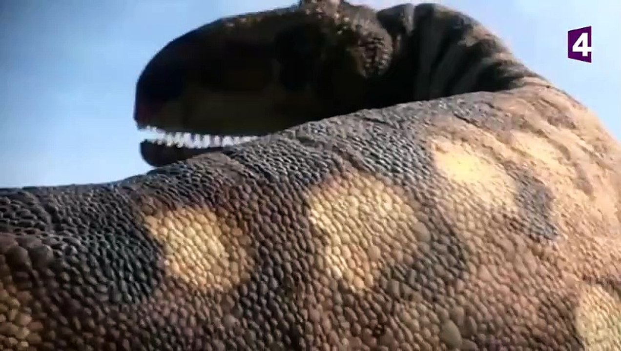 DES DINOSAURES CANNIBALES - ZAPPING SAUVAGE