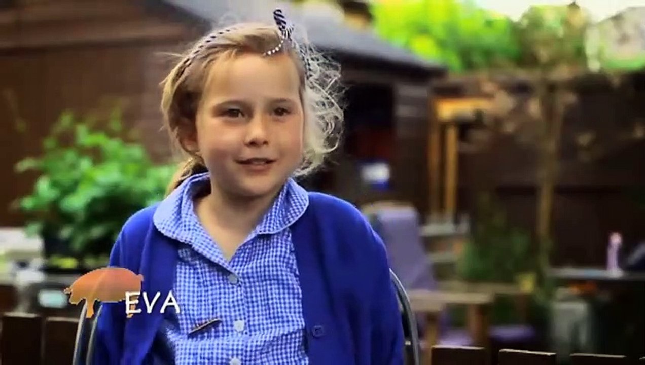 Combat de mini cochons ! - ZAPPING SAUVAGE