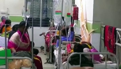 Bangladeş'te Dang Humması nedeniyle son 24 saatte 11 kişi hayatını kaybetti, 2 bin 905 kişi hastaneye kaldırıldı