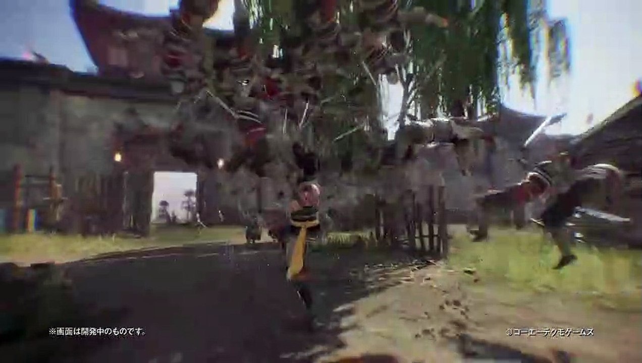 Zhang Bao Combat Movie Sample (DW9)
