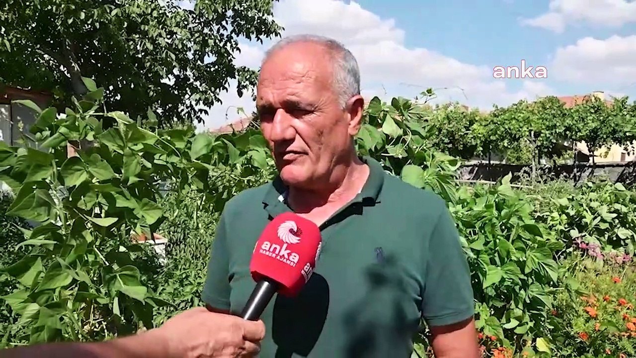 Les semences locales sont reproduites et distribuées gratuitement au public dans le district de Yenifakılı à Yozgat