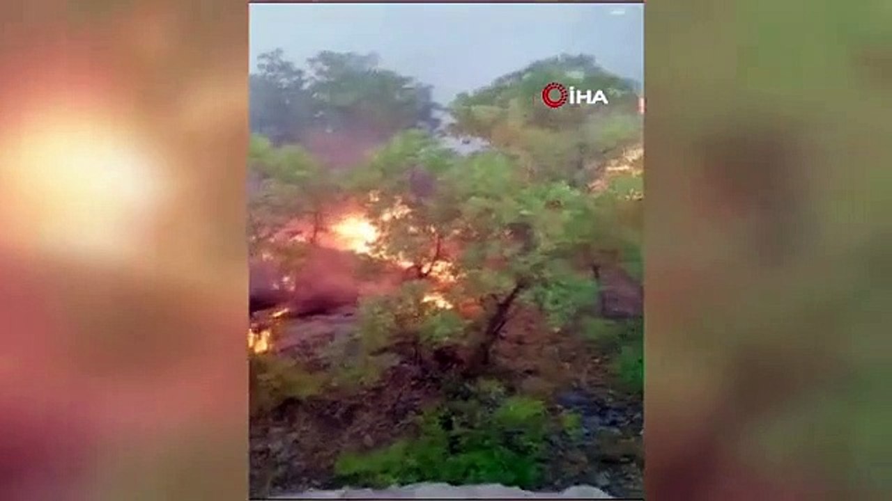 Essayer de contrôler le feu qui a transformé 30 hectares de forêt en cendres à Adıyaman