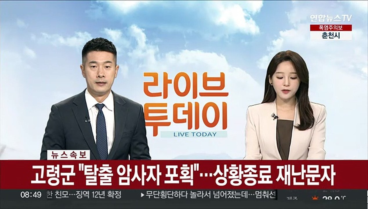 [속보] 고령군 "탈출 암사자 포획"…상황종료 재난문자