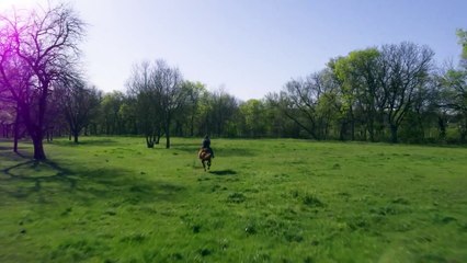 Лошадь Чарли | movie | 2023 | Official Trailer