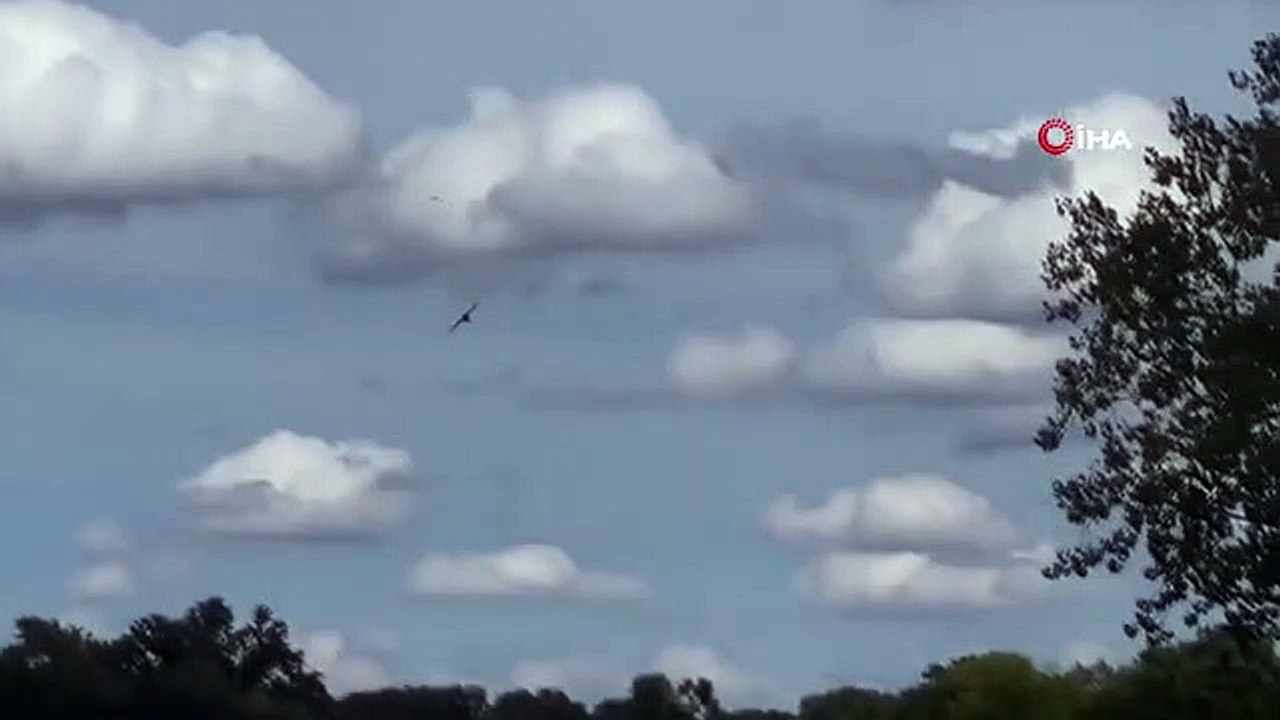 ABD'de Uçuş Gösterisinde Uçak Apartmanın Otoparkına Düştü