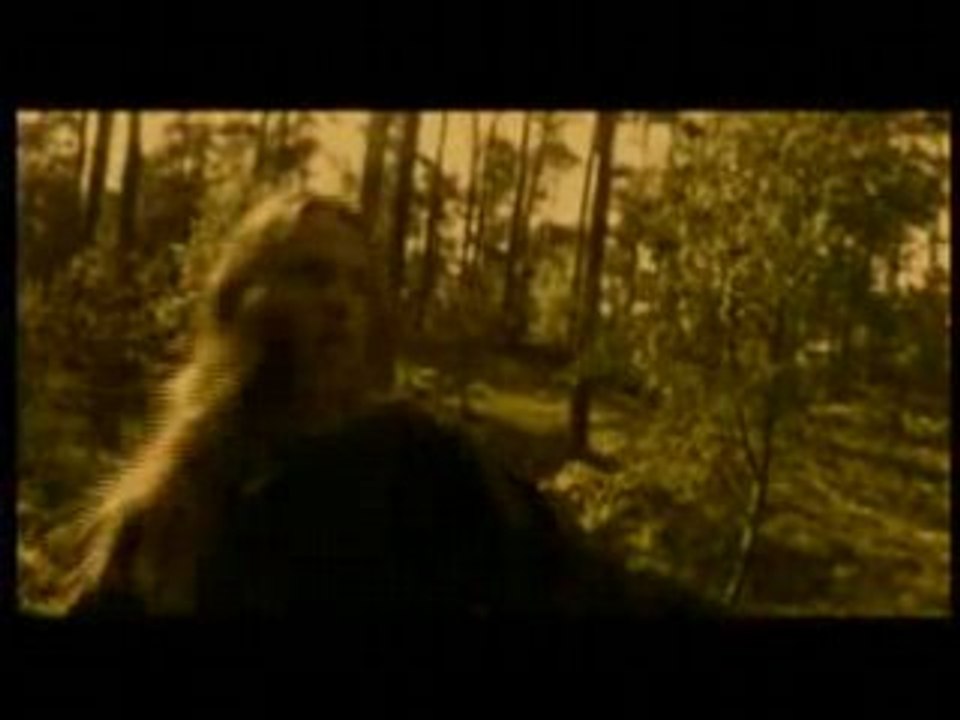 Slechtvalk - From Behind The Trees