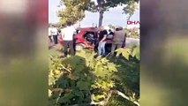 Une voiture heurte un arbre à Bursa : 2 blessés