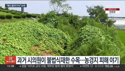 경기 여주시, 시의원의 불법수목 이식에 '예산' 논란