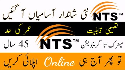 NTS Latest Jobs 2023 | AllahRazik Jobs Update