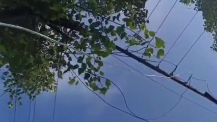 కర్నూలు జిల్లా: విద్యుత్ అధికారుల నిర్లక్ష్యం... వృద్ధురాలు మృతి