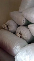 371 किलो डोडा पोस्त बरामद