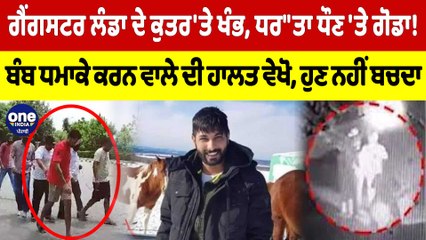 ਗੈਂਗਸਟਰ ਲੰਡਾ ਦੇ ਕੁਤਰ'ਤੇ ਖੰਭ, ਧਰ"ਤਾ ਧੌਣ 'ਤੇ ਗੋਡਾ! ਬੰਬ ਧਮਾਕੇ ਕਰਨ ਵਾਲੇ ਦੀ ਹਾਲਤ ਵੇਖੋ |OneIndia Punjabi