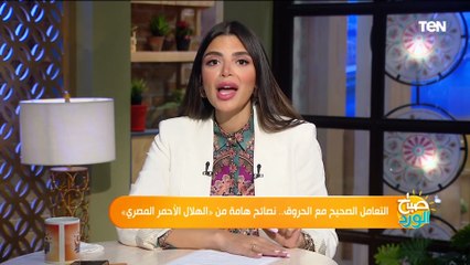 التعامل الصحيح مع الحروق.. نصائح هامة من «الهلال الأحمر المصري»