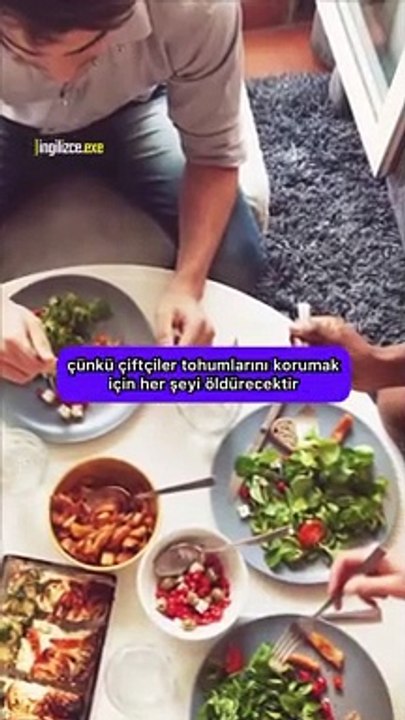 'Eğer bir sürü canlıları öldürmek istiyorsanız vegan olun'