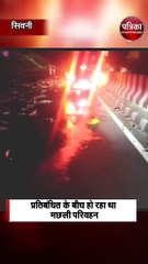 सड़क पर पलटा लाखों मछलियों से भरा ट्रक