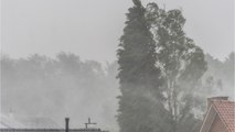 Zum Wochenstart: Deutscher Wetterdienst warnt vor Starkregen und Hitze