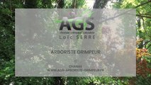 AGS, arboriste-grimpeur spécialisé, à Chanas en Isère