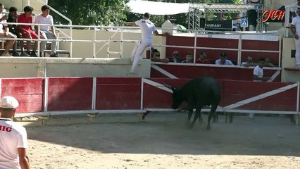 Avenir Fourques 12 Août 2023