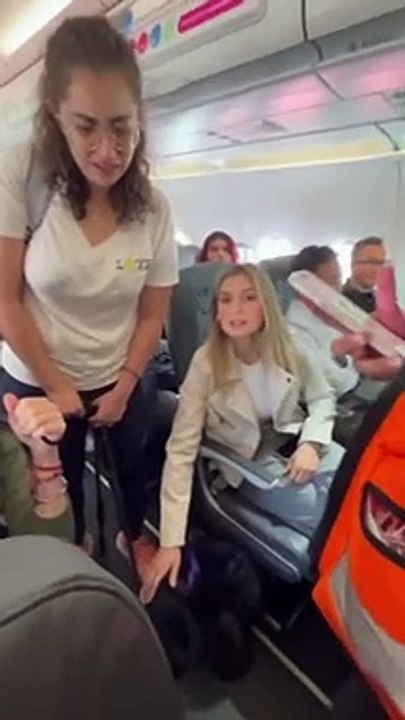 Companhia aérea tenta expulsar mulher e cão. Passageiros unem-se contra