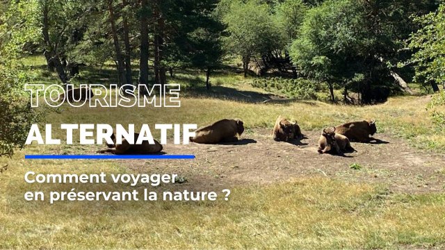 Peut-on encore voyager et préserver la nature ?