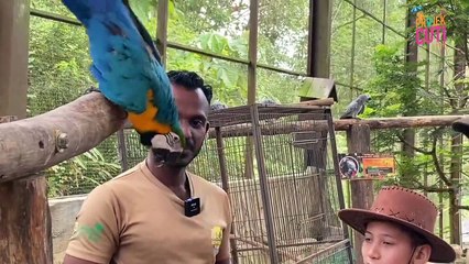 Projek Cuti Keluarga The Bentong Farm