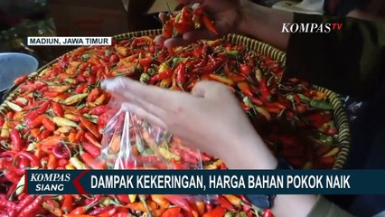 Download Video: Dampak Kekeringan, Harga Bahan Pokok Merangkak Naik!