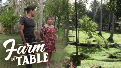 A quick and relaxing tour of Francesca De Banahaw Resort | Farm To Table