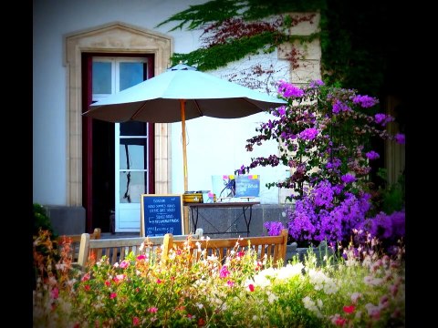 La magie des concerts illumine le domaine de la Bellonette