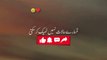 ALLAH ko Sathi Bana Lo | Urdu Status Islamic Whatsapp Status  #foryou #fypシ #foryoupage #fyp #videoviral #virał #viewsproblem #standwithkashmir #RozanaDeen