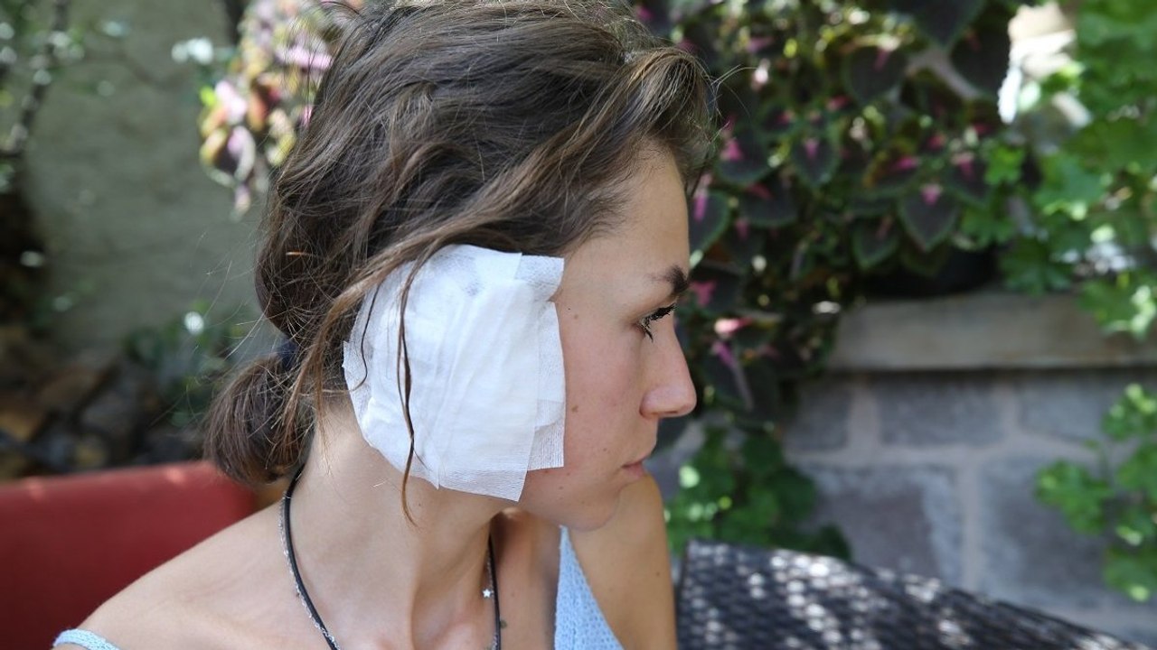 Sahipsiz köpekler turistlere saldırdı