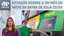 Kellen Severo: Postos de combustíveis relatam restrição de diesel