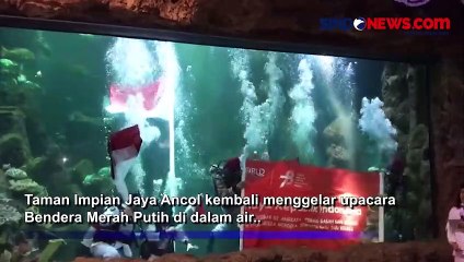 Sea World Ancol Kembali Gelar Upacara Bendera di Dalam Air