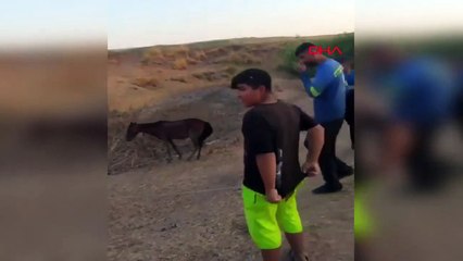 Siirt'te bataklığa saplanan at köylüler tarafından kurtarıldı