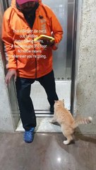 Building Manager Takes The Elevator