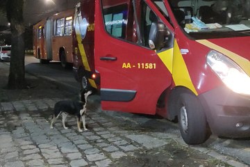 Homem é agredido 'do nada' na esquina da Kennedy e cão da vítima acompanha socorro; assista