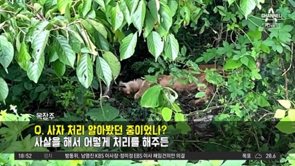 철창 밖 세상 그리웠나