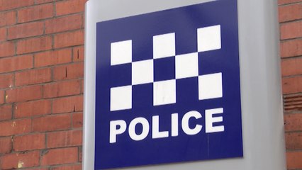 Newcastle headlines 14 August: Two pigs head left outside a pub in Birtley