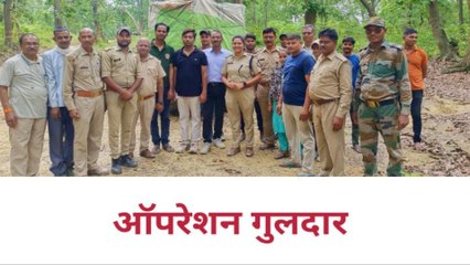 बिजनौर : "ऑपरेशन गुलदार" के तहत पिंजरे में कैद हुआ पांचवा गुलदार, टीम उत्साहित